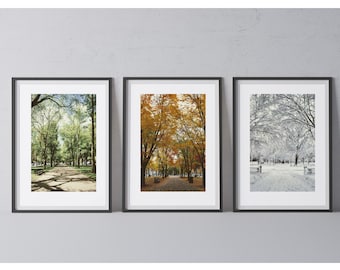 Boston Set of 3 Photography Prints Collection (Unframed), Commonwealth Ave Vertical Photography Prints Wall Art