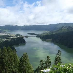 May include: Scenic landscape featuring a large lake surrounded by lush green mountains under a partly cloudy sky. The water has a greenish hue, and a small town is visible on the lake's edge. Trees and flowers frame the view.