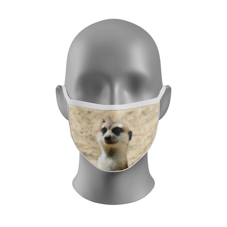 Rare Cute MEERKAT Cat Animal Tv Show Series Nature Face Etsy