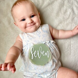 Acrylic Baby Monthly Milestone Set, Painted Acrylic Baby Gifts, Baby Monthly Milestone Discs, Acrylic Monthly Markers, Newborn Photo Props