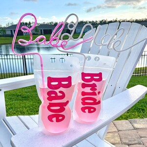 Bride & Babe Booze Pouch, Bachelorette Drink Party Favor, Reusable Adult Drink Bag, Bachelorette Party Pouch, Bridal Party Drink Pouch