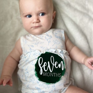 Acrylic Baby Monthly Milestone Set, Painted Acrylic Baby Gifts, Baby Monthly Milestone Discs, Acrylic Monthly Markers, Newborn Photo Props