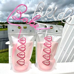 Bride & Babe Booze Pouch, Bachelorette Drink Party Favor, Reusable Adult Drink Bag, Bachelorette Party Pouch, Bridal Party Drink Pouch