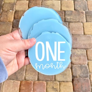 Acrylic Baby Monthly Milestone Set, Painted Acrylic Baby Gifts, Baby Monthly Milestone Discs, Acrylic Monthly Markers, Newborn Photo Props