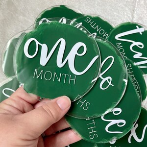 Acrylic Baby Monthly Milestone Set, Painted Acrylic Baby Gifts, Baby Monthly Milestone Discs, Acrylic Monthly Markers, Newborn Photo Props