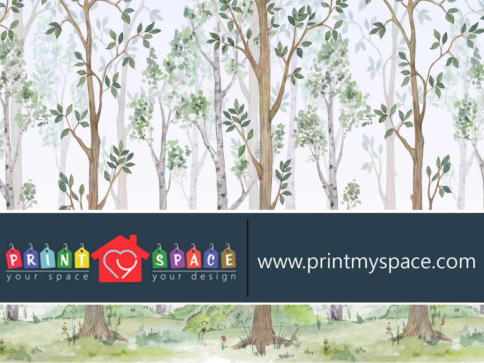 Birch Tree Woods Wallpaper Traditional or Removable Peel and | Etsy