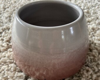 cocker spaniel bowls