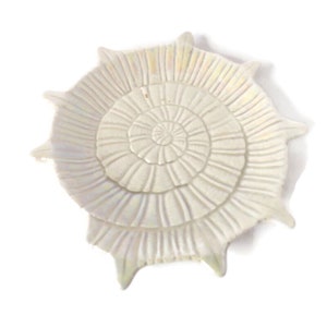 Iridescent Seashell Trinket/Soap Dish Fitz and Floyd