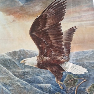 May include: A brown and white bald eagle with its wings spread wide soars over a mountain range with a blue and white cloudy sky in the background.