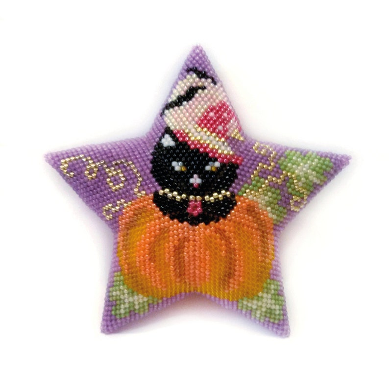 3D Star Peyote Beading PDF Pattern Halloween Black Cat in Pumpkin