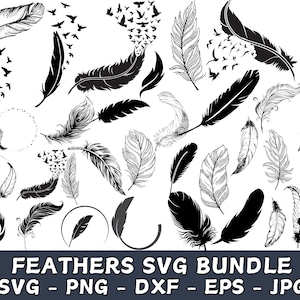 Feather birds svg, Feather svg bundle, Flying birds feather svg, Feather leaf silhouette, Memorial feather svg, Flying birds svg