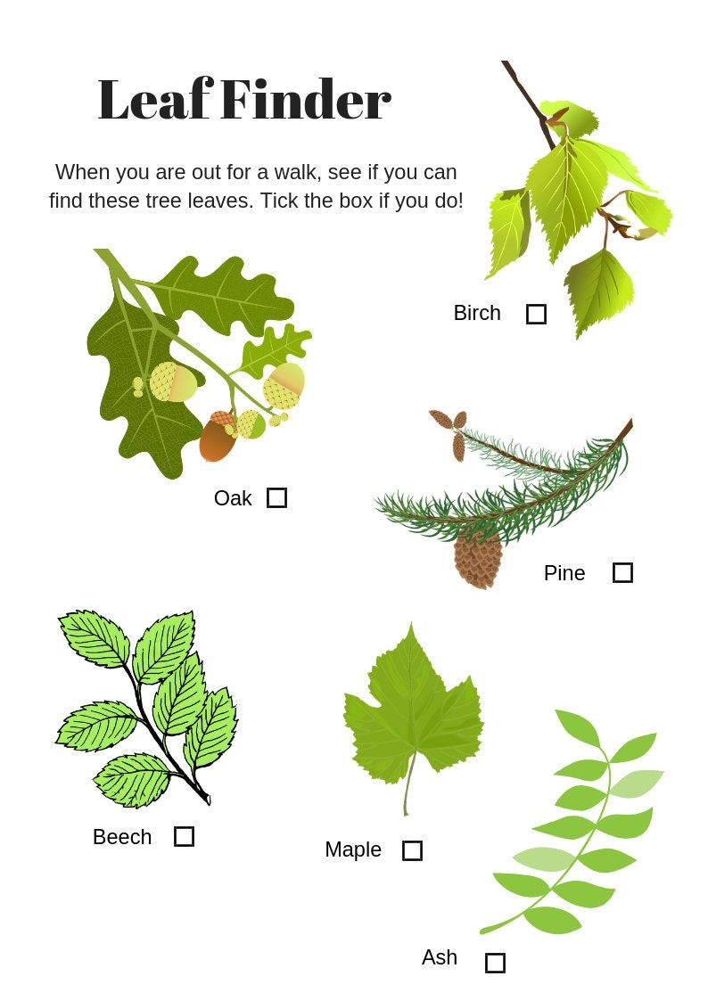 Nature and Scavenger Hunt Printable Worksheets X 28 - Etsy