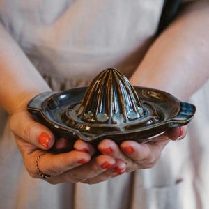 May include: A dark brown ceramic citrus juicer featuring a central ribbed cone for extracting juice and a wide, shallow basin with a small pouring spout. The glaze has a glossy finish with subtle variations in tone across the surface.