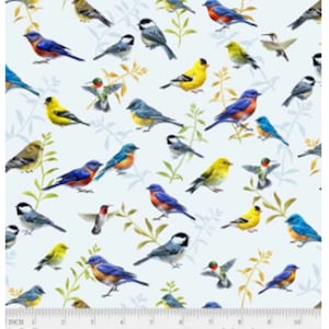 Song Birds: Birds- P&B Textiles Sold by the Yard