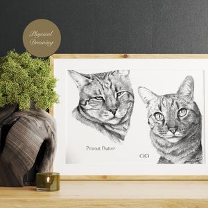 Custom Cat Portrait from Photo, Drawing from Merged Photos, Pet Artwork