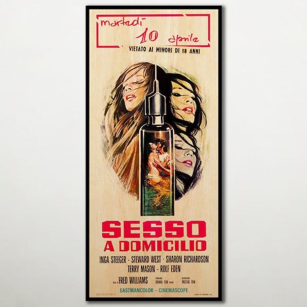 Large WOOD wall art Sesso a domicilio poster, Home decor wooden wall art Fanart cinema print, Big wall art movie poster for movie lovers