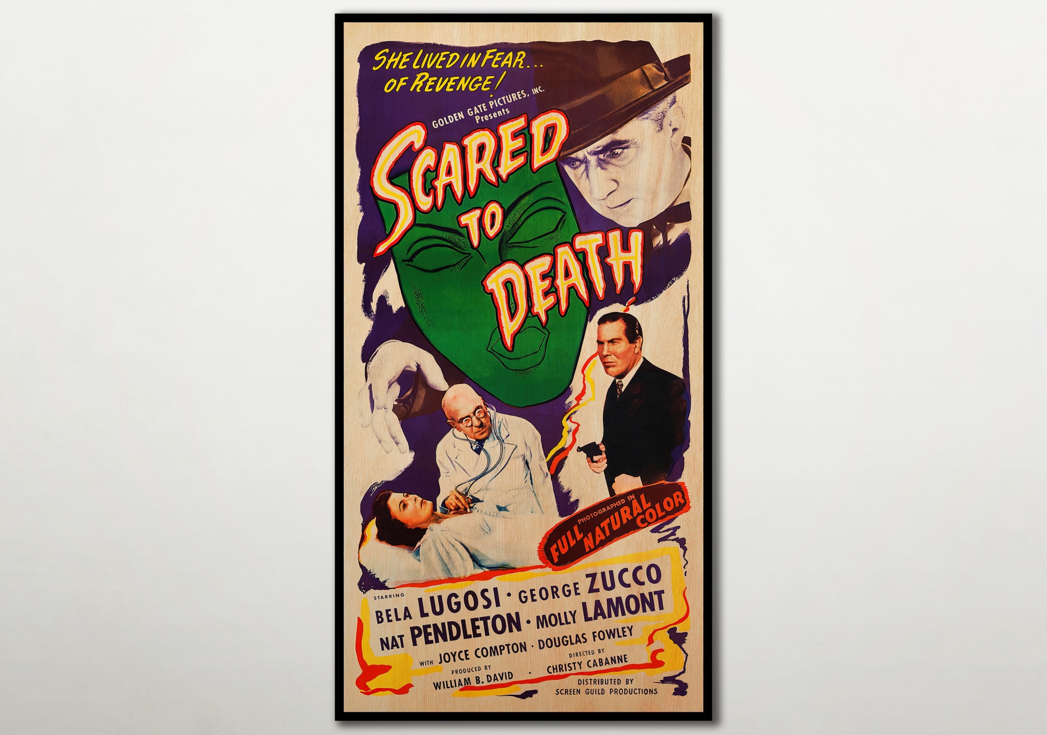 Scared to Death Extra Large WOOD PRINT Poster, Wall Art Gothic