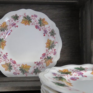Platos para ensalada de verano de la India de Royal Doulton / Vajilla de granja vintage / 8 disponibles