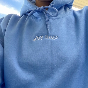 Embroidered Why Not Hoodie