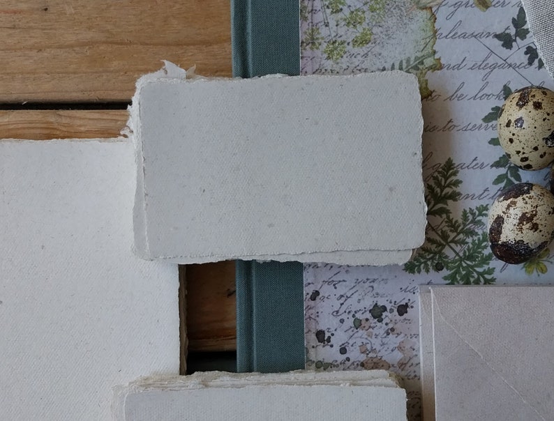 Puede incluir: Composici&oacute;n de tarjetas de papel hechas a mano con bordes irregulares, dispuestas con un lomo de libro verde azulado, papel con estampado bot&aacute;nico y huevos de codorniz moteados. Est&eacute;tica r&uacute;stica y vintage.