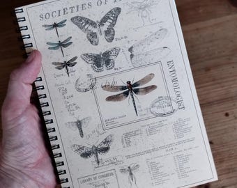 Notizbuch A5,  Ringbuch Insekten Natur