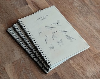 Notizbuch A5,  Ringbuch Vögel Natur