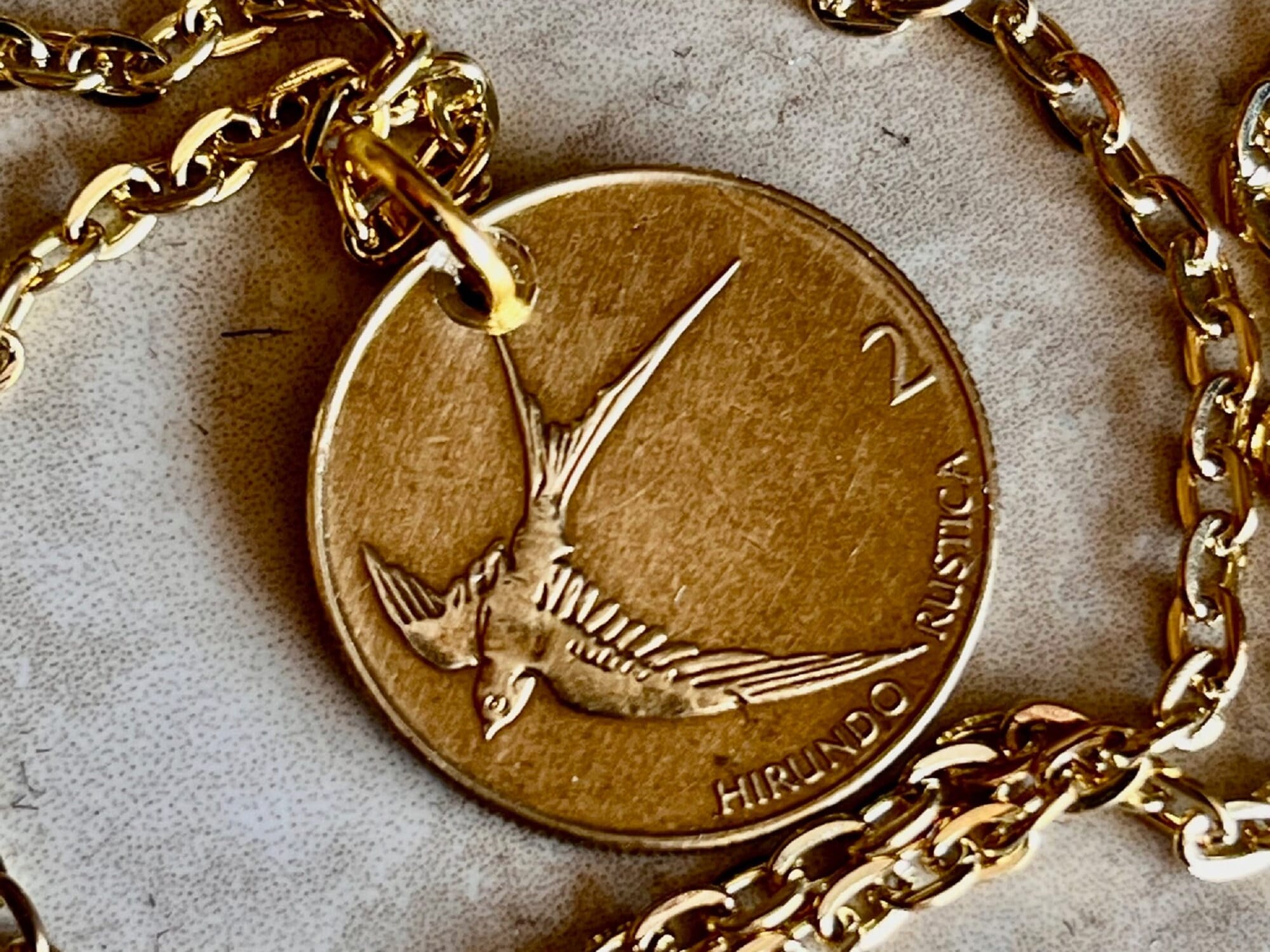 Premium Grand Two Coin Necklace | www.sparklingjewellery.com