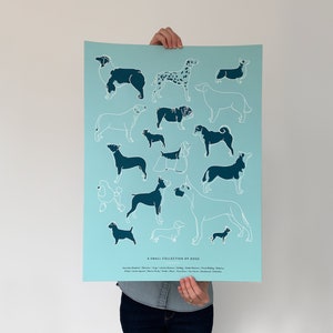Collection of Dogs Screenprint | 18x24&quot; | Dog Breeds | Cute Dog Poster