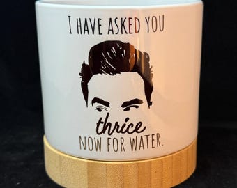 Funny "I Have Asked You Thrice Now For Water" Planter | Succulent Pot | Pop Culture Inspired Plant Pot