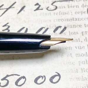 K&ouml;nnte beinhalten: Ein schwarzer und blauer F&uuml;llfederhalter mit einer goldenen Feder. Der Stift liegt auf einem Blatt Papier mit handschriftlichem Text.