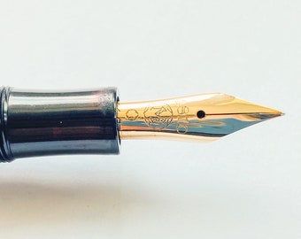 希少な1920年代のモンブラン 4810 マイスターシュテュック 25 万年筆