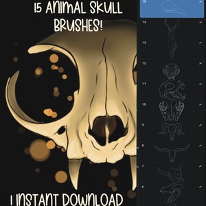 May include: A digital illustration of 15 animal skulls, including a cat, bird, deer, cow, and wolf. The skulls are outlined in white and are arranged in a numbered list on a black background. The text "15 ANIMAL SKULL BRUSHES!" is at the top of the image, and the text "INSTANT DOWNLOAD" is at the bottom.