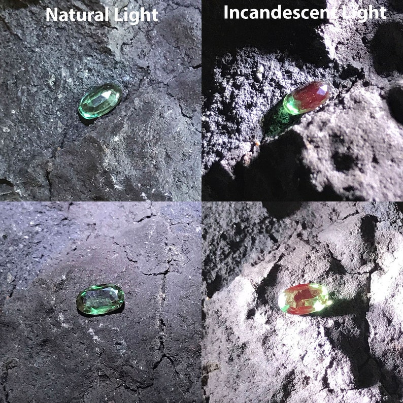 May include: A green gemstone is shown in natural light and incandescent light. The gemstone is oval shaped and has a slight red hue in incandescent light.