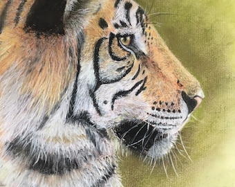 REDUCED for QUICK SALE - Tiger Original  pastel painting- unframed on paper 14 by 11 inches