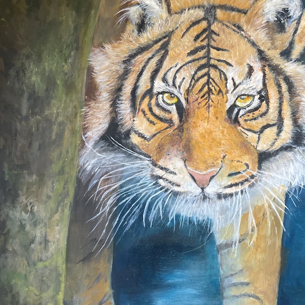 Tigre - peinture à l'huile originale - boîte sur toile par Shirley Thompson