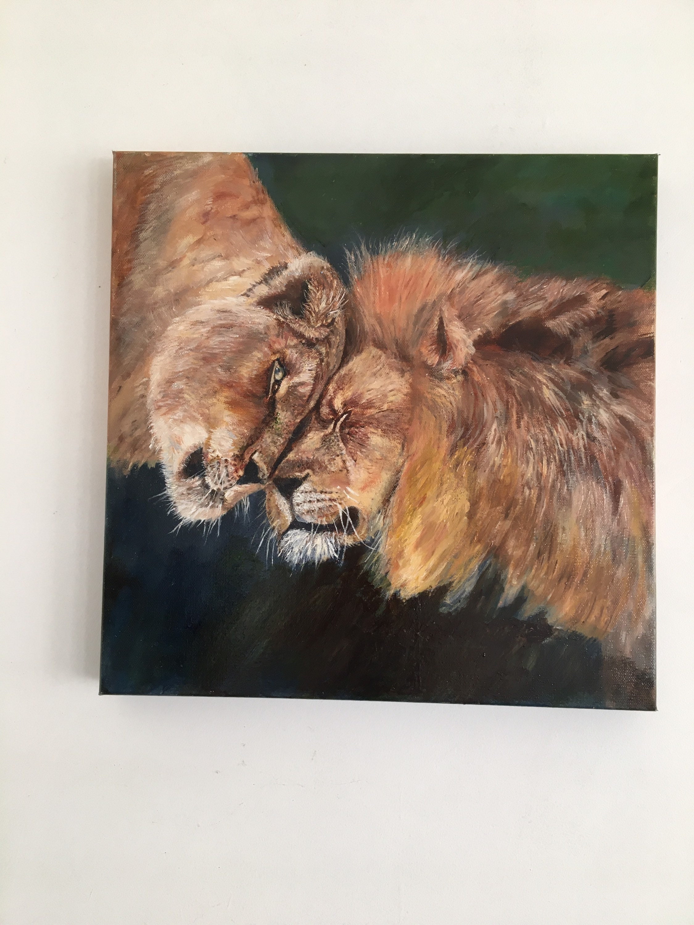 Lion and lioness original oil painting 40 by 40cm box Etsy