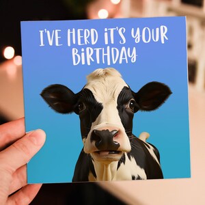 Carte d'anniversaire drôle de vache, d'animal de ferme, de jeu de mots pour adultes, enfants, enfants, ami, compagnon (taille A6/A5/A4/carré 6 x 6 pouces)