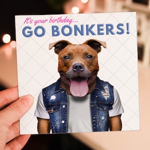 C'est votre anniversaire, devenez fou Staffy Staffordshire Bull Terrier chien, animal de compagnie mignon, carte d'anniversaire drôle (Animalyser) Taille A6/A5/A4/Square
