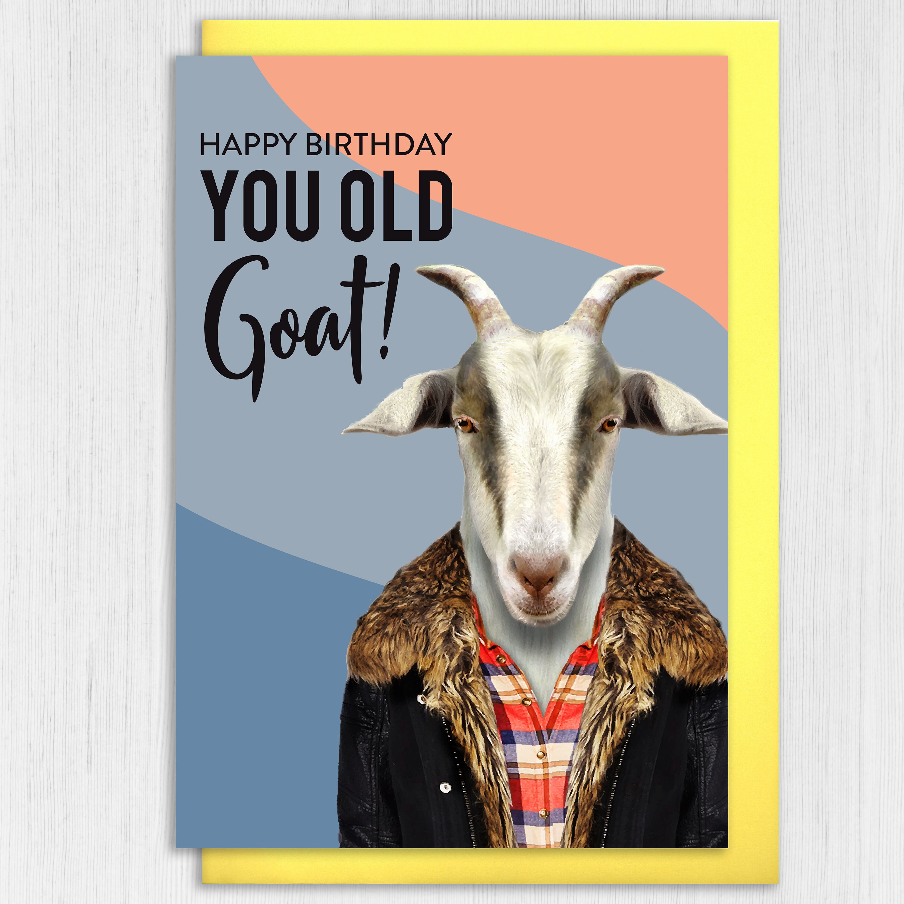 Happy Birthday You Old Goat Funny Goat in Clothes Birthday Card for Old  Person, Old Lady, Old Man animalyser size A6/a5/a4/square 6x6 