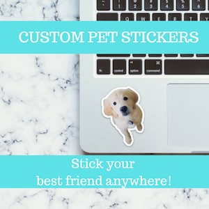 Custom Pet Stickers | Stick Your Best Friend Anywhere  / Decal |  for Car, Laptop, Mug, Cup, Cooler, Planner