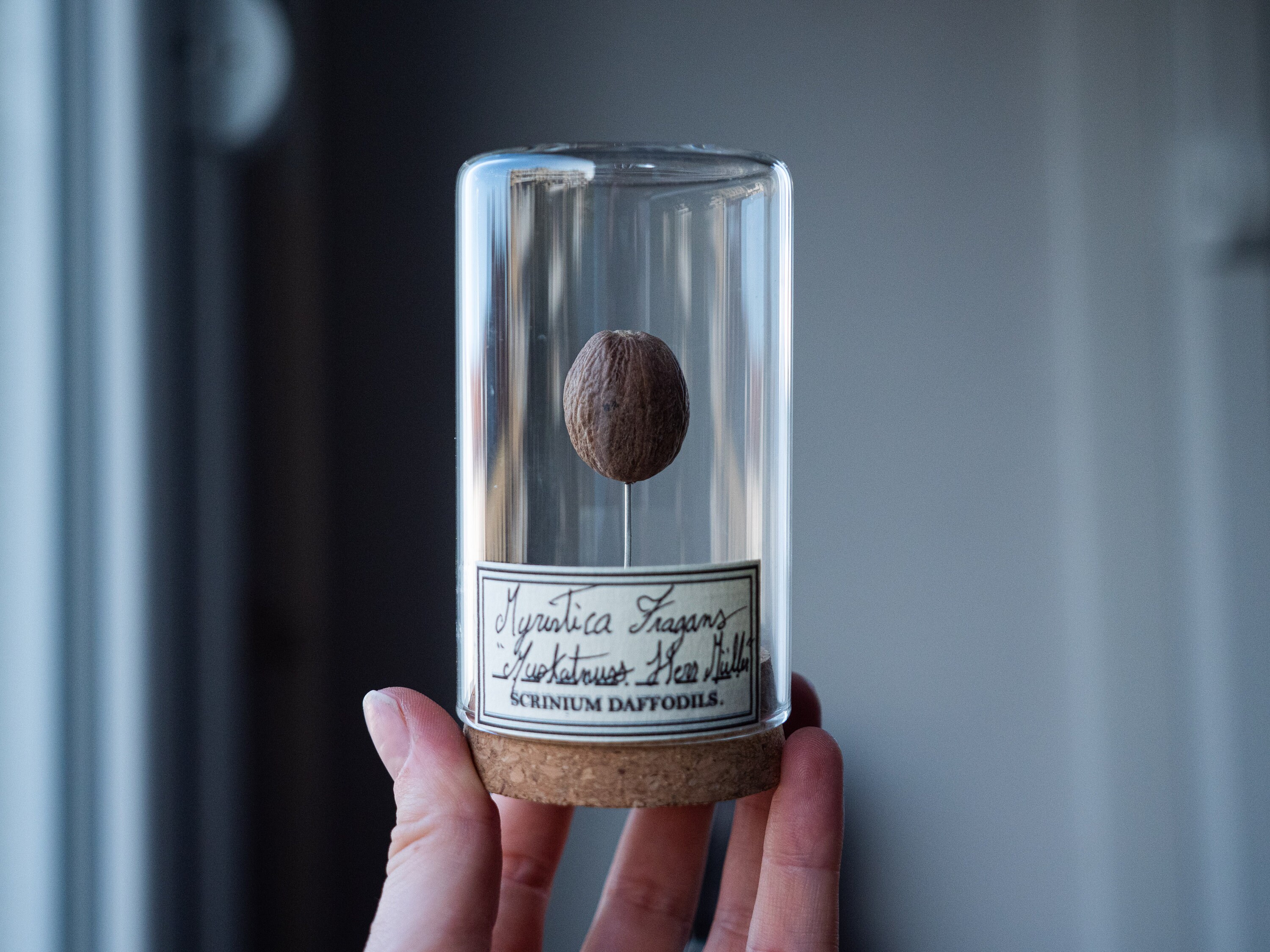 Cabinet de Curiosité, Pot Conservation, Noix Muscade, Noix, Louis Funes, Cadeau Film