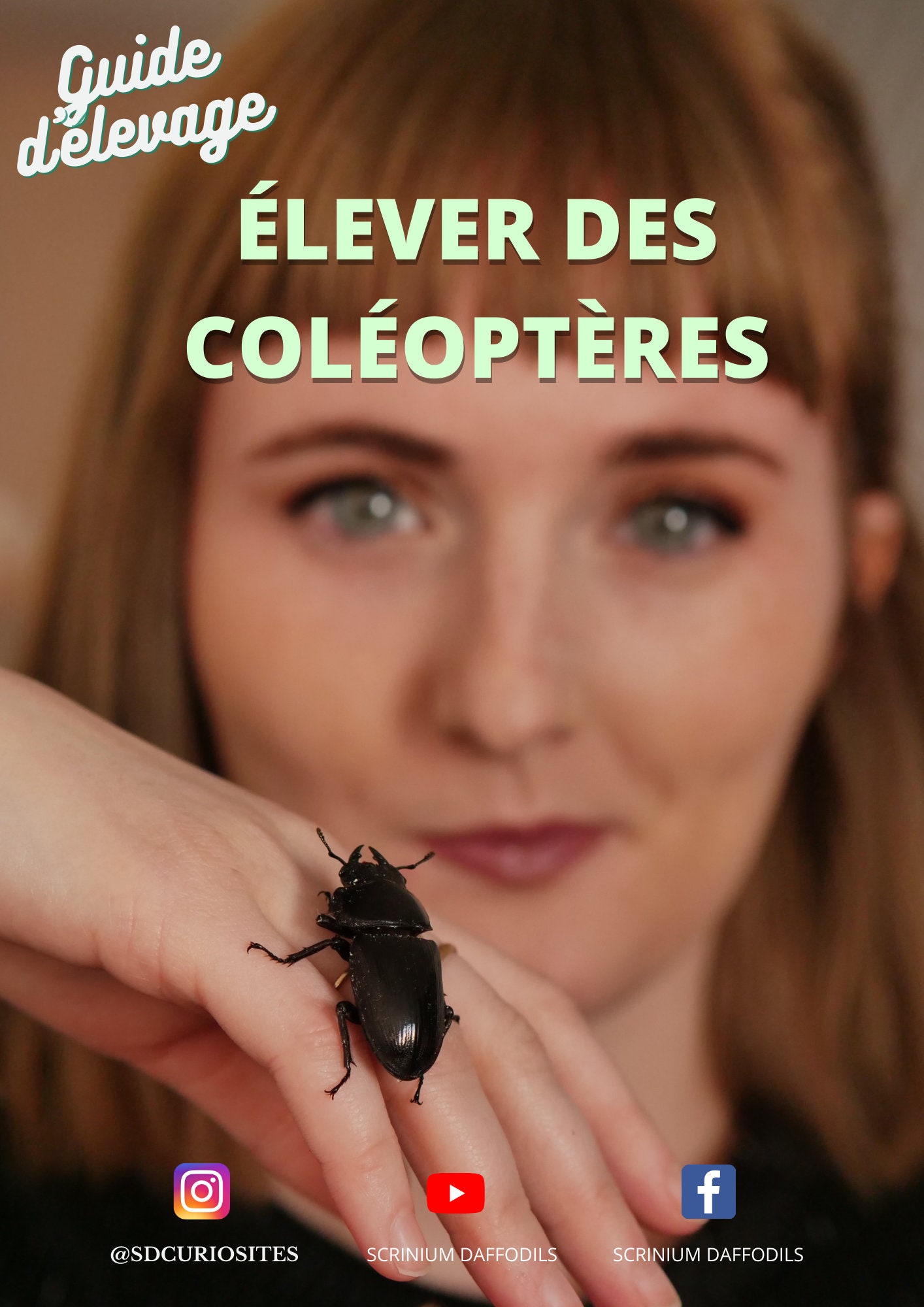 L- Prevente- Coléoptères Manuel d'elevage Tuto - Manuel Écrit et Réalisé en France