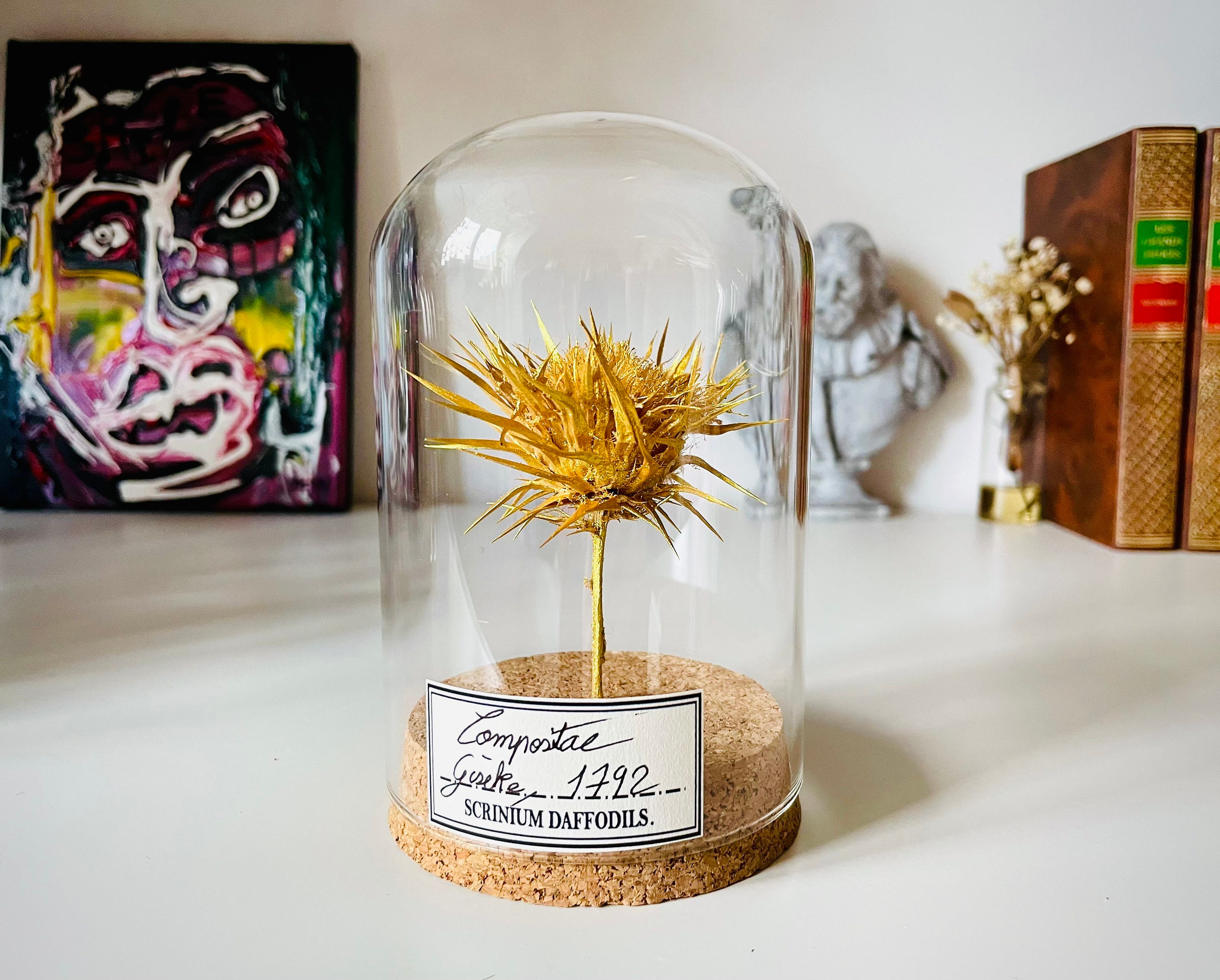 Fleur Sous Dome en Verre, Décoration Pour Cabinet de Curiosité Végétal ou Cadeau Amour, Fleur Saint 