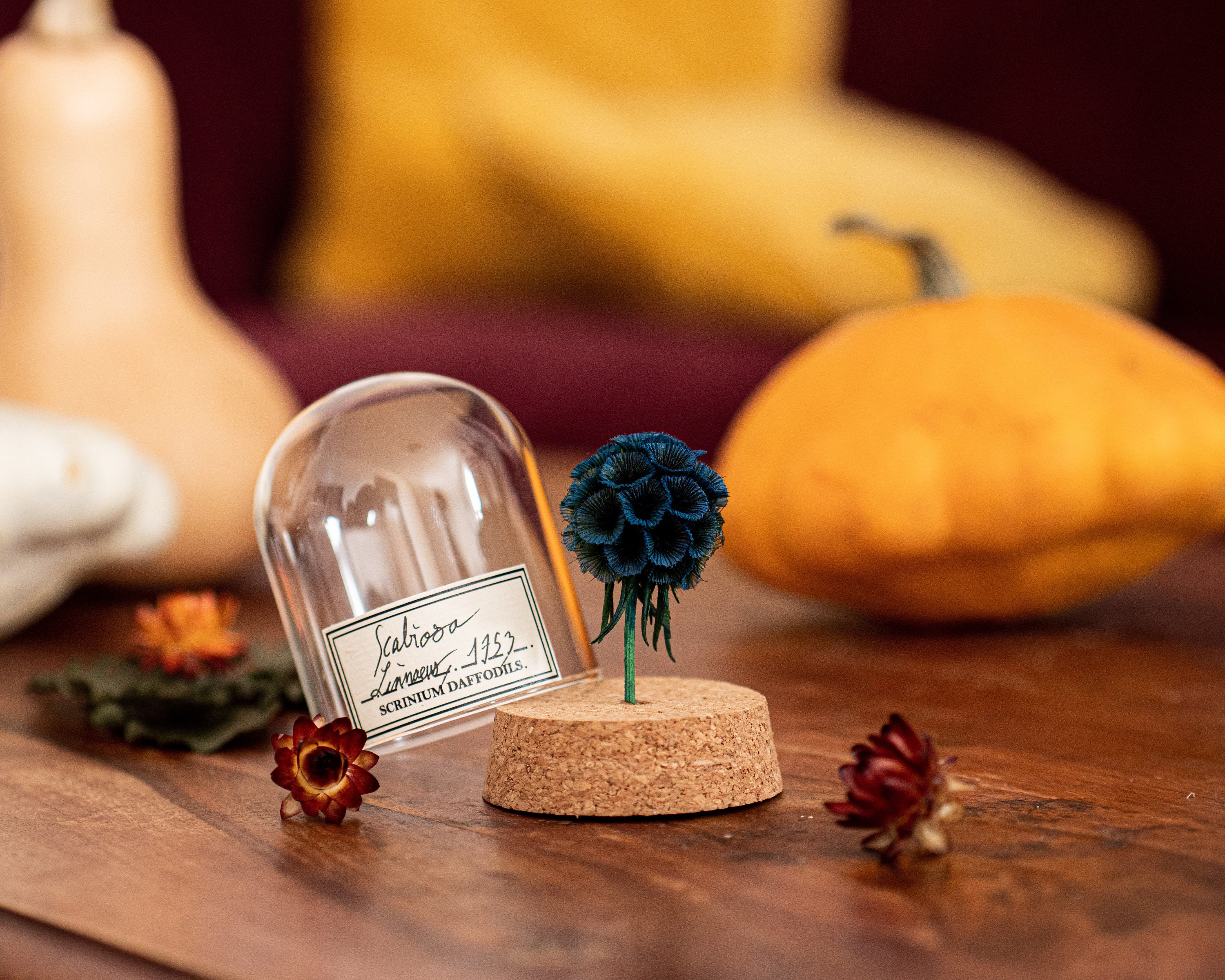 Fleur Sous Dome en Verre, Décoration Pour Cabinet de Curiosité Végétal ou Cadeau Une Couturière, Sca