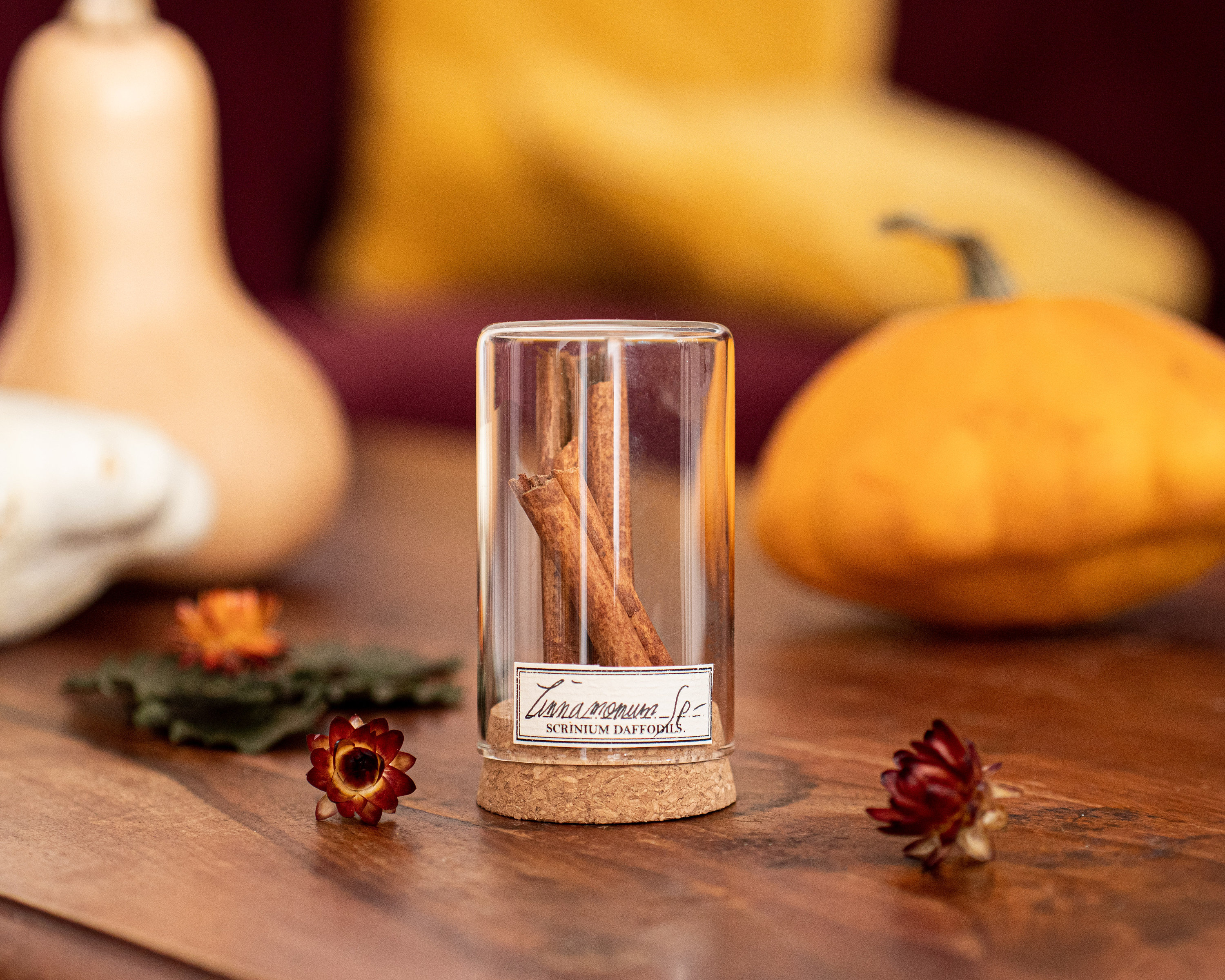 Fleur Sous Dome en Verre, Décoration Pour Cabinet de Curiosité Végétal ou Cadeau Une Couturière, Can