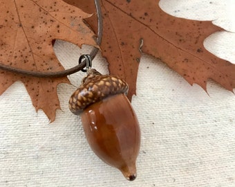 Acorn pendant / Real acorn necklace / Ecostyle necklace / British necklace / Plant acorn pendant / Botanical pendant.