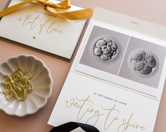 Personalised IVF Embryo Photo Card, Fertility Journey Keepsake, Embryo Transfer Gift, IVF Announcement for Family & Friends