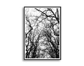 PRINTABLE Tree, Black, sky, Wall art, Decoration, Interior, Room, Framework, Digital, Printable, fine art