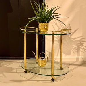 May include: A gold metal serving cart with two glass shelves and wheels. The cart has a plant in a gold pot on the top shelf and a gold watering can on the bottom shelf.