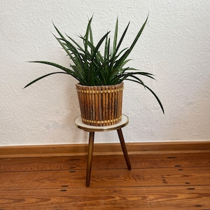 Vintage plant flower stool.